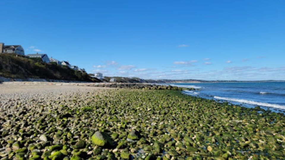 Dumpster Rental - My Dump Express